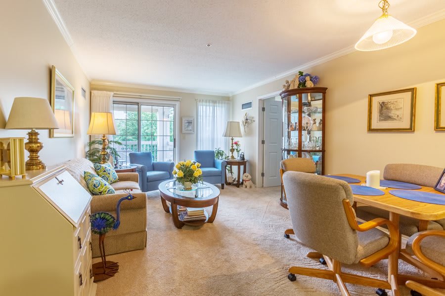 A cozy living room with comfortable seating, natural light, and stylish decor.