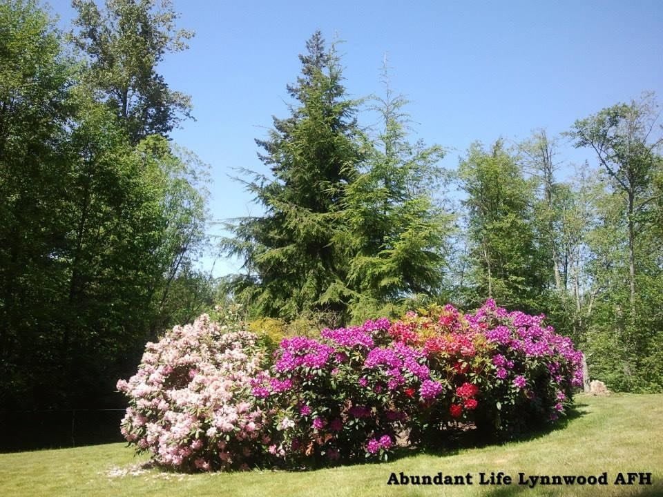 A beautiful garden with colorful flowers and lush green trees under a clear blue sky.