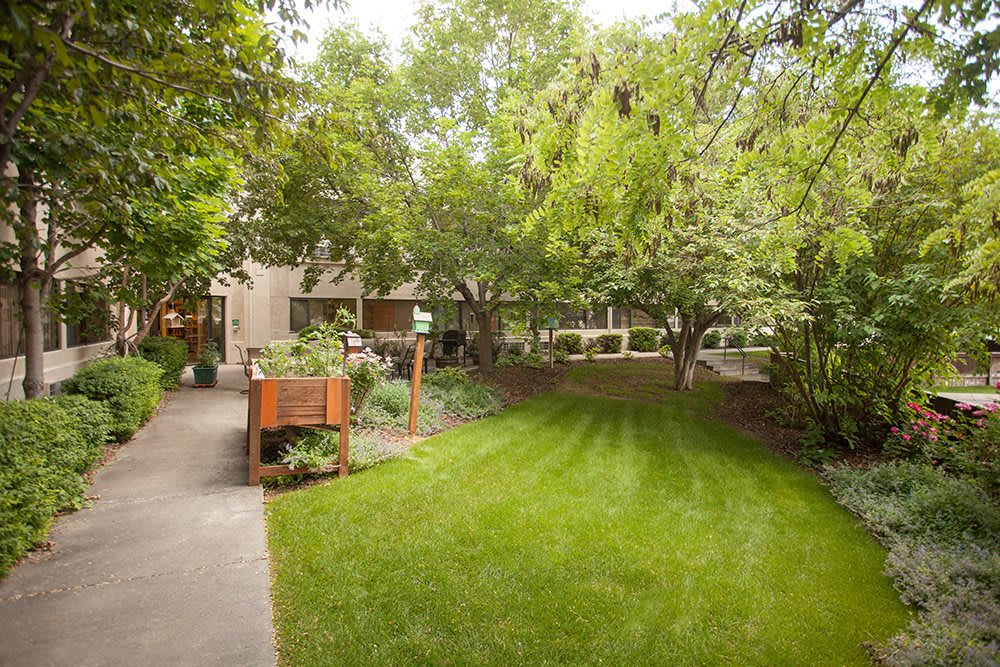A serene garden setting with lush greenery and a well-maintained lawn.