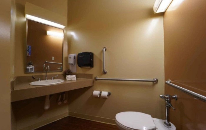 An accessible bathroom with a sink, toilet, and safety grab bars.