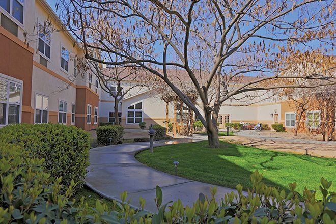 A peaceful courtyard with a tree and surrounding buildings.