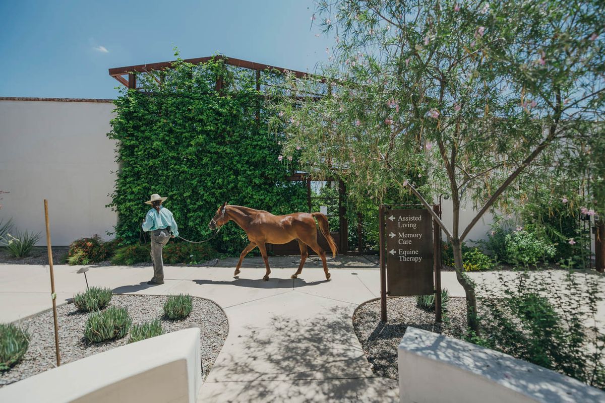 A person walks a horse along a pathway surrounded by greenery and modern buildings.