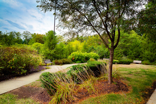 A serene garden pathway surrounded by lush greenery and trees.
