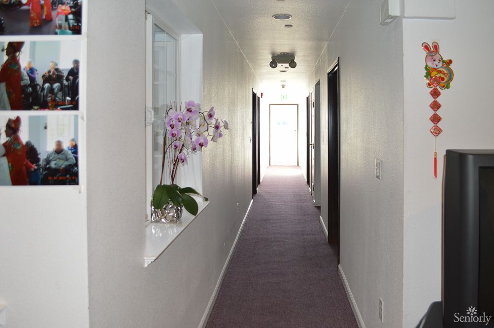 A bright hallway with a carpeted floor, featuring an orchid plant on a windowsill.