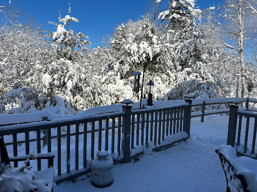A serene winter landscape blanketed in fresh snow under a clear blue sky.