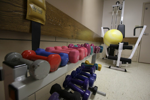A variety of colorful dumbbells lined up in a gym, ready for a workout session.