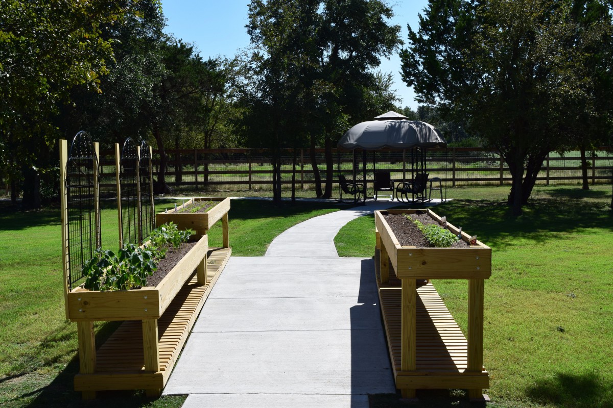 A sunny garden with raised beds alongside a concrete pathway leading to an outdoor seating area.