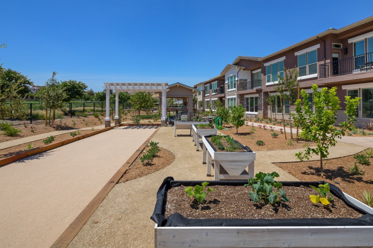 Raised garden beds and a pathway in a community garden setting next to a modern building.
