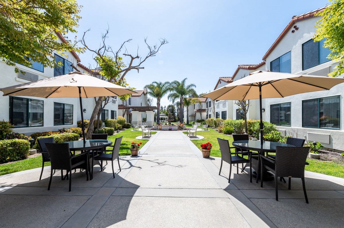 A sunny outdoor patio area with tables and chairs, surrounded by well-maintained landscaping in a residential setting.