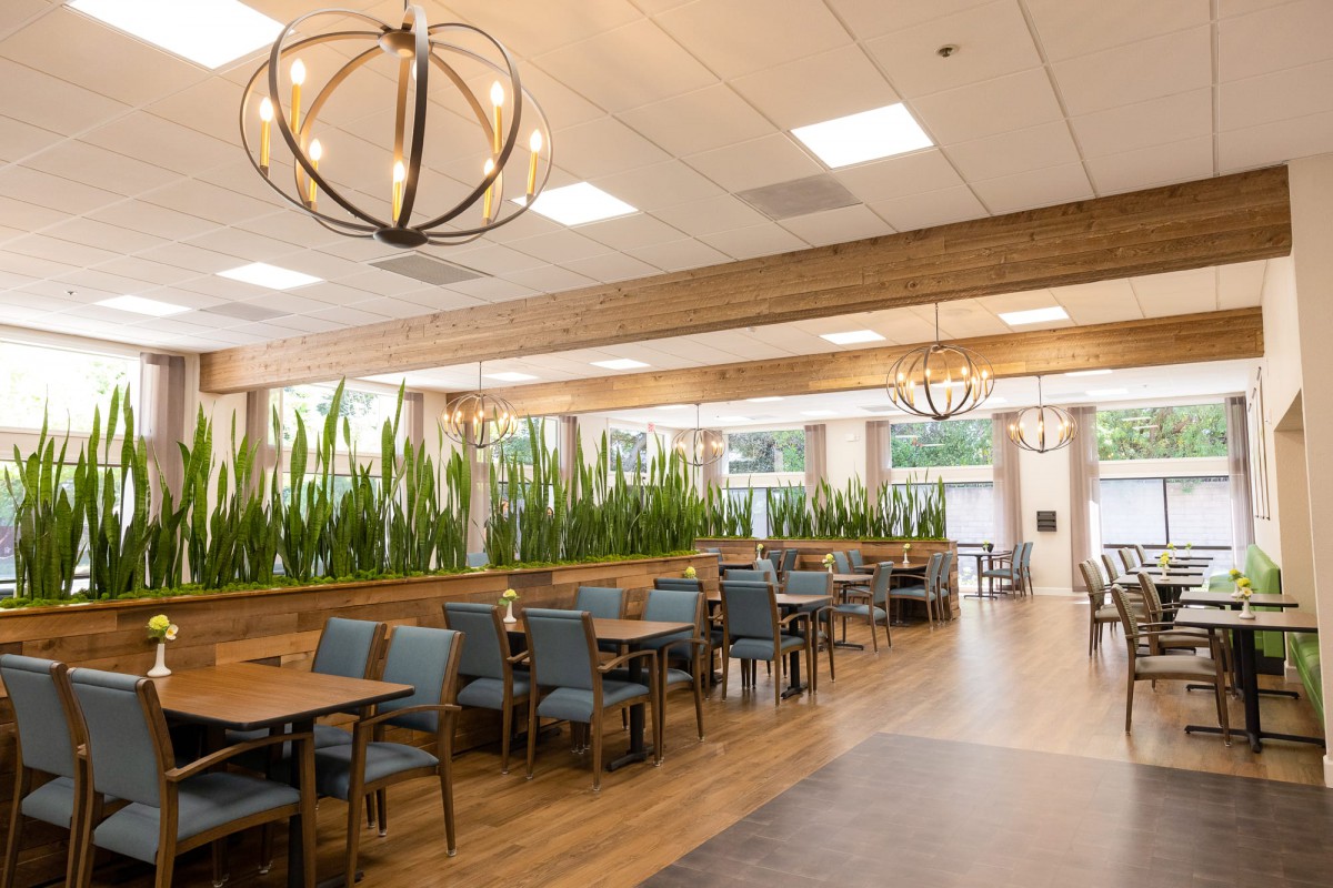 A modern restaurant interior with wooden flooring, stylish chandeliers, and blue chairs decorated with greenery.