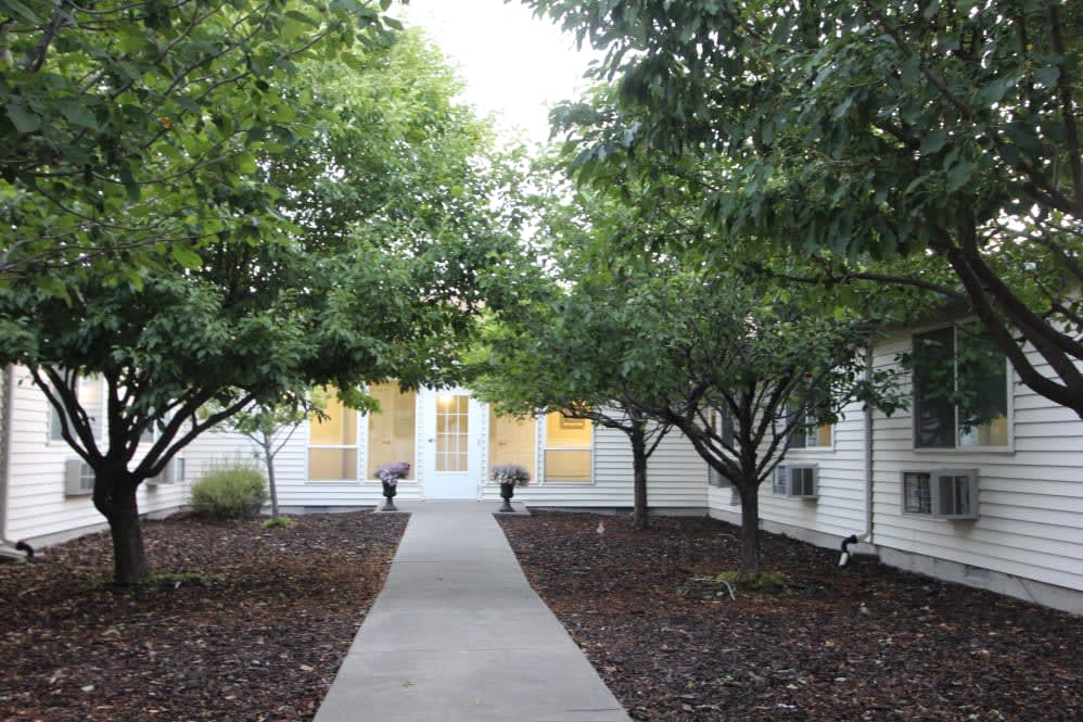 A pathway lined with trees leading to a building entrance.
