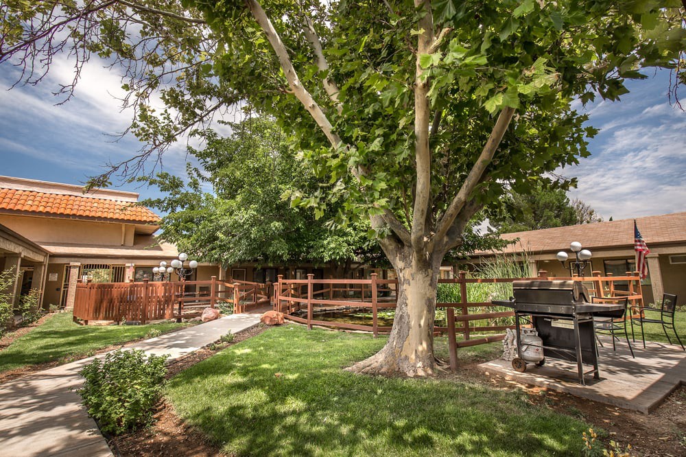 A tranquil backyard with lush green grass, a large tree providing shade, and a wooden fence surrounding the area.