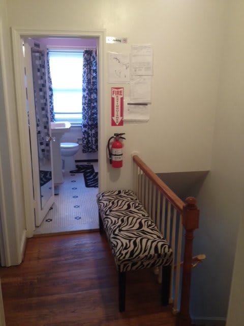 A narrow hallway with a zebra-patterned bench, leading to a bathroom at the end. A fire extinguisher is mounted on the wall next to some stairs.