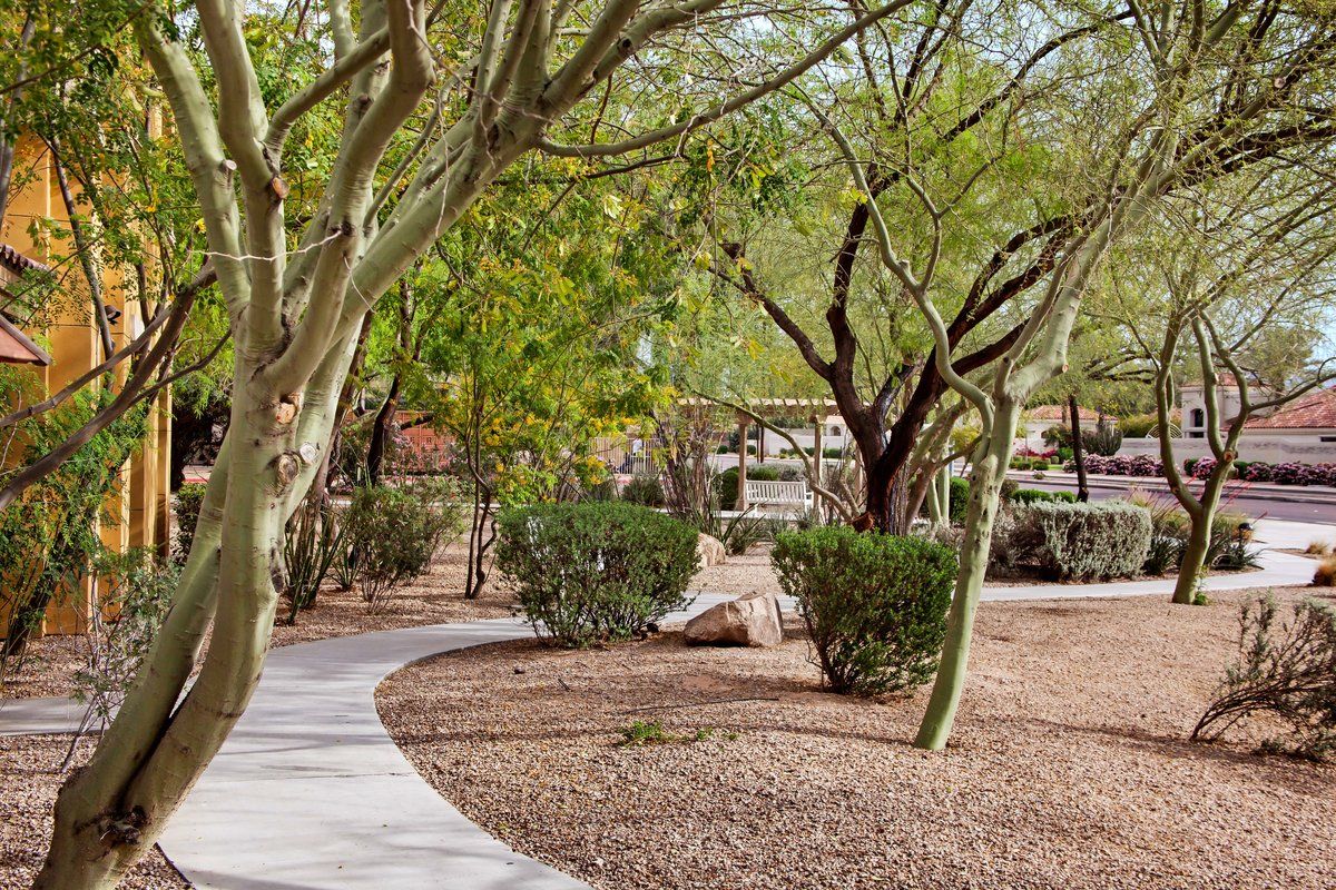 A peaceful walkway winding through a desert landscape with trees and greenery.