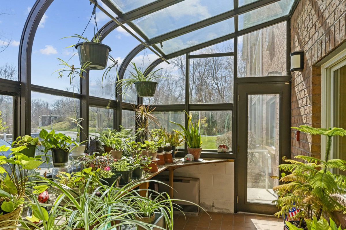 A sunlit greenhouse filled with a variety of lush potted plants.