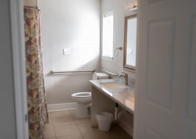 A bright bathroom featuring a toilet, sink, mirror, and a floral shower curtain.