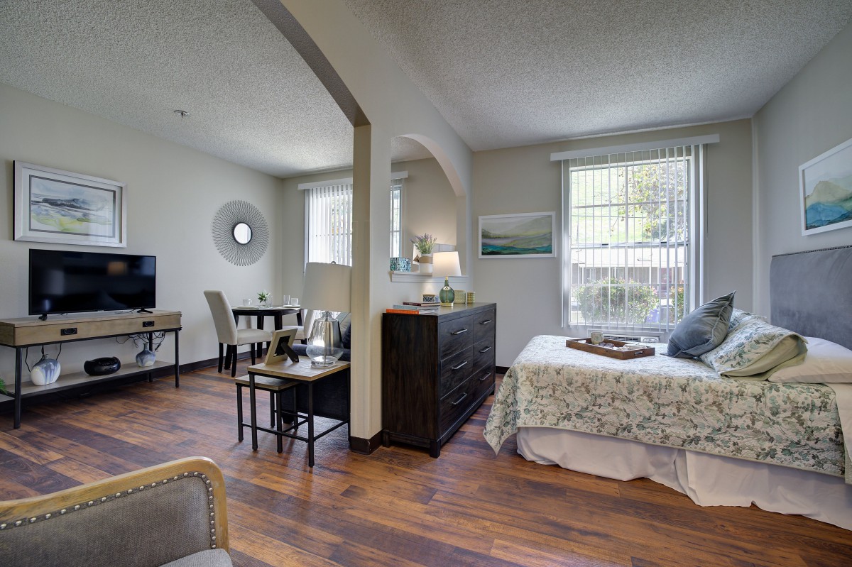A modern open-space apartment combining a living area and a bedroom with wood flooring and ample natural light.