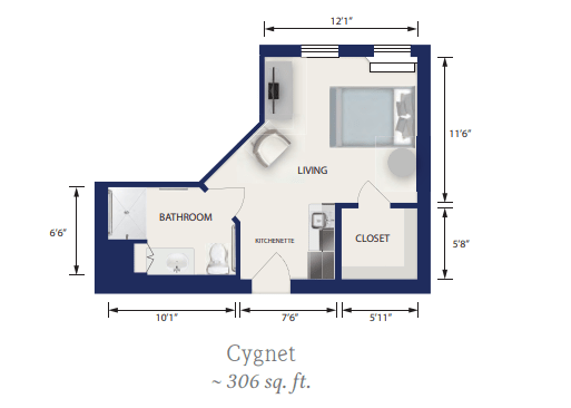A floor plan of the Cygnet studio apartment, approximately 306 square feet, featuring a living area, a bedroom space, and a bathroom.