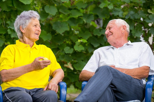 A joyful moment shared between two elderly friends enjoying a conversation in the sun.