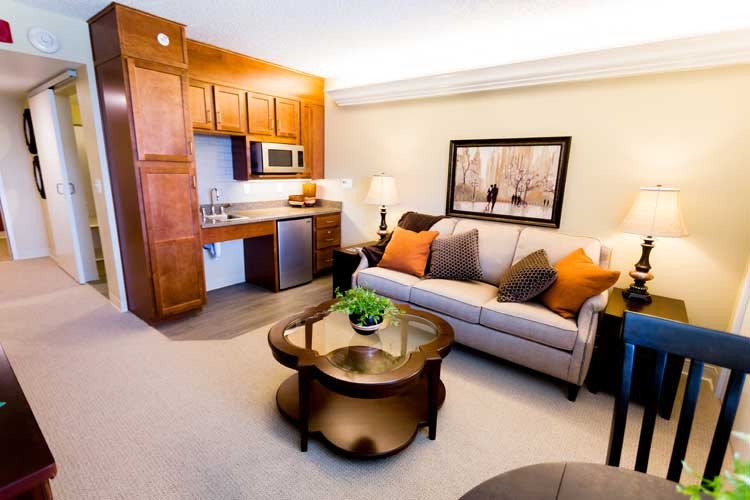 A cozy living area with a modern kitchenette, featuring a comfortable sofa adorned with decorative pillows and a coffee table topped with an indoor plant.