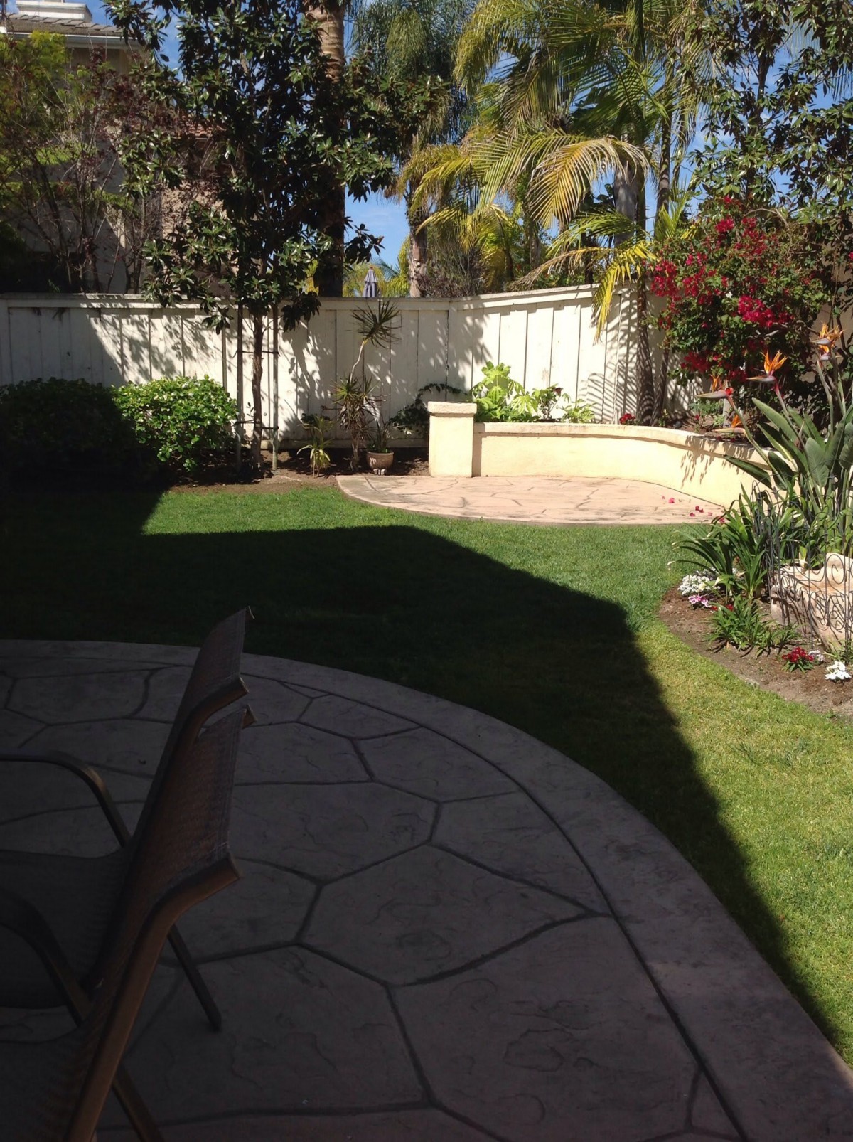 A sunny backyard garden with a patio, surrounded by trees and plants.