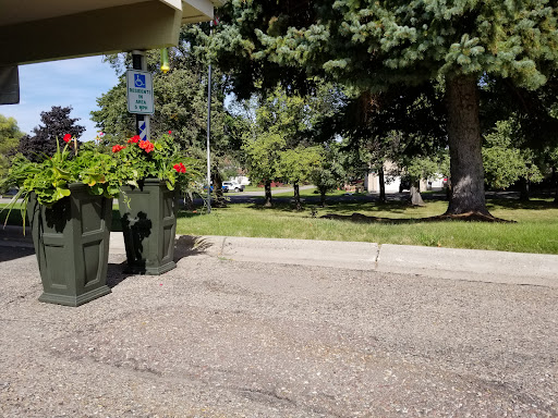 A serene outdoor scene featuring vibrant flowers and lush greenery, inviting a peaceful stroll.