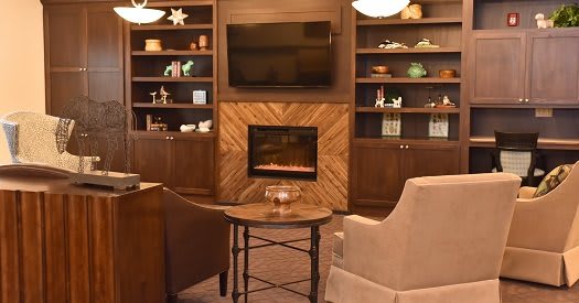 A cozy living room with a fireplace, television, and comfortable seating surrounded by built-in shelves.