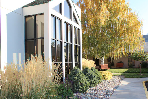A modern building seamlessly integrated into a vibrant outdoor garden with lush greenery and decorative stones.