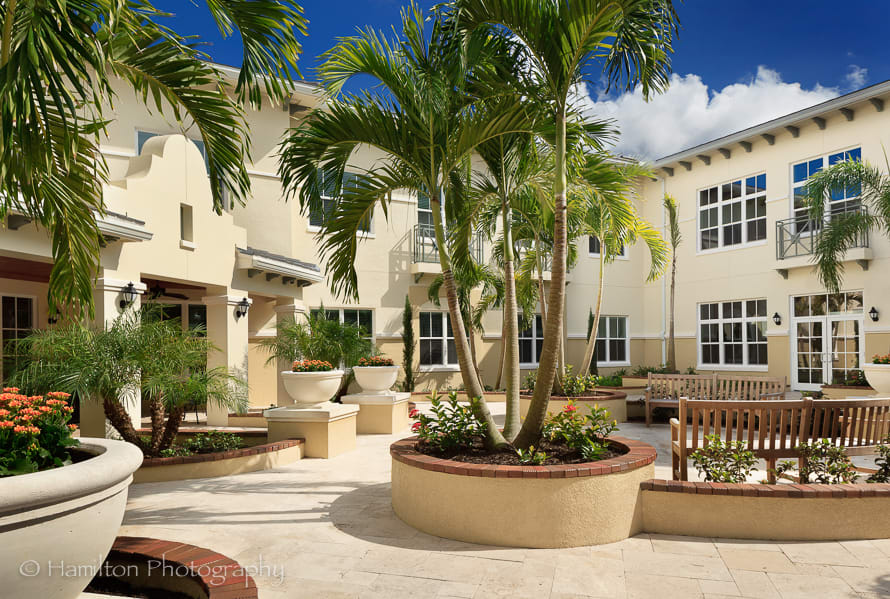 A sunny courtyard featuring palm trees and benches surrounded by modern architecture.