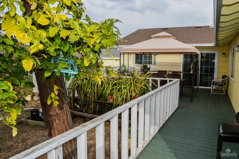 A wooden walkway leads to a house, surrounded by plants and a tree.