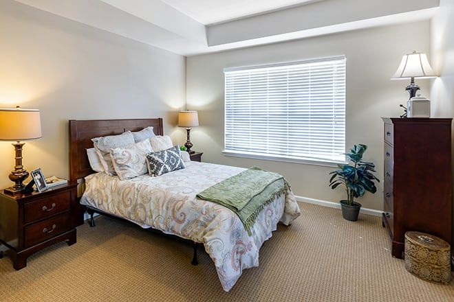 A cozy bedroom with natural light, featuring a neatly made bed, bedside lamp, and a potted plant.