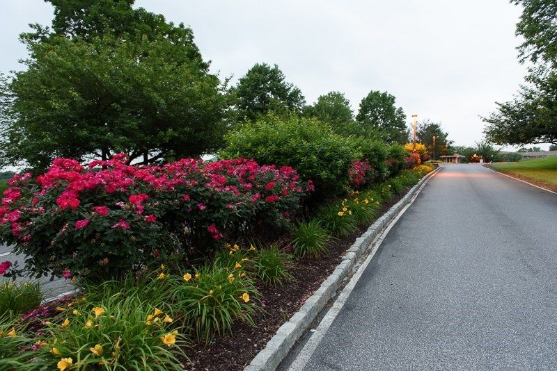 Willowbrooke Court-Granite