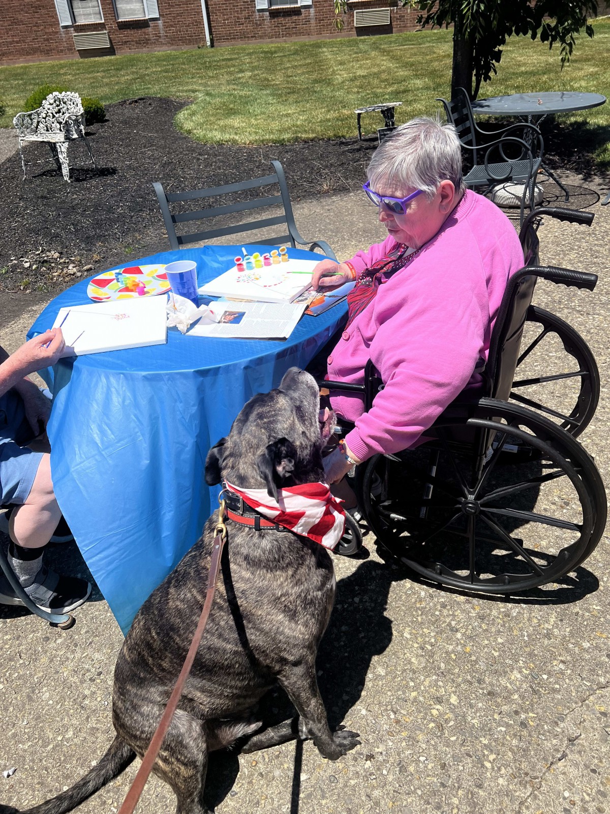 An elderly person in a wheelchair interacts with a dog at an outdoor table activity.