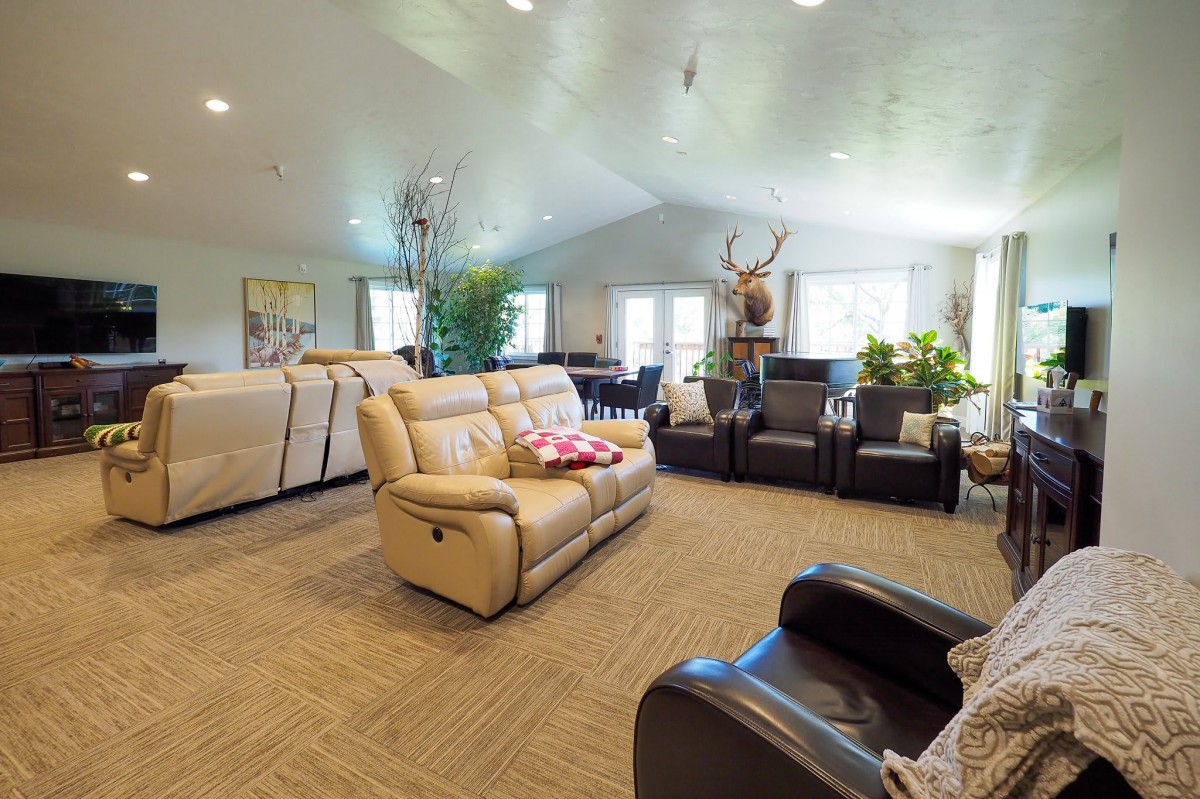 A spacious living room with a combination of sofas and armchairs, decorated with plants and artwork.