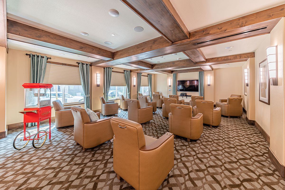 A cozy lounge area with multiple leather chairs facing a television, surrounded by large windows with curtains.