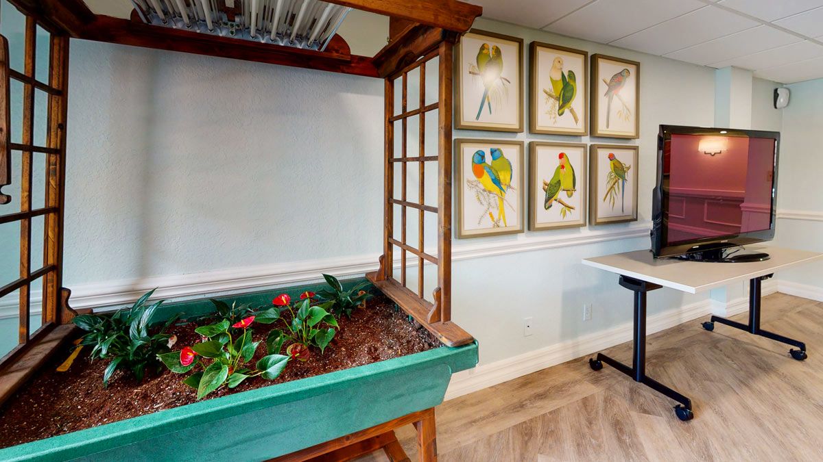 Indoor garden space with a decorative plant box and framed bird illustrations on the wall.