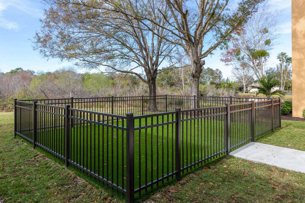 A fenced-in grassy yard with trees in the background.
