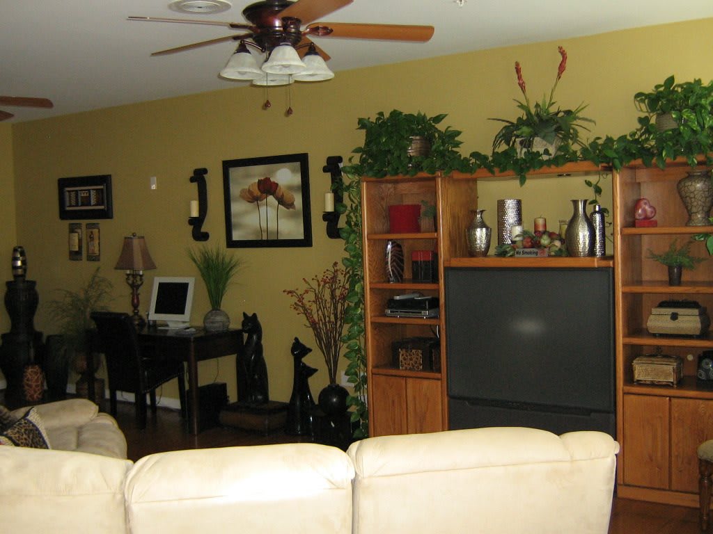 A cozy living room featuring a television, bookshelf, computer desk, and decorative plants.