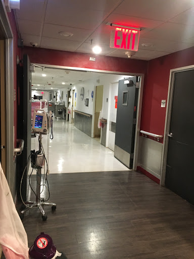 Surge Rehabilitation And Nursing
