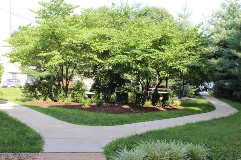 A serene garden with lush greenery and a winding pathway.