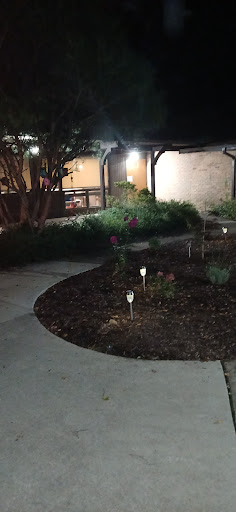 A serene garden area illuminated at night, showcasing a winding pathway surrounded by lush greenery.