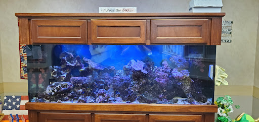 A beautifully maintained aquarium showcasing vibrant coral and marine life.