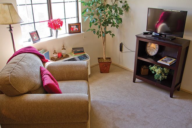 A cozy living room with a couch, television, and indoor plants by the window.