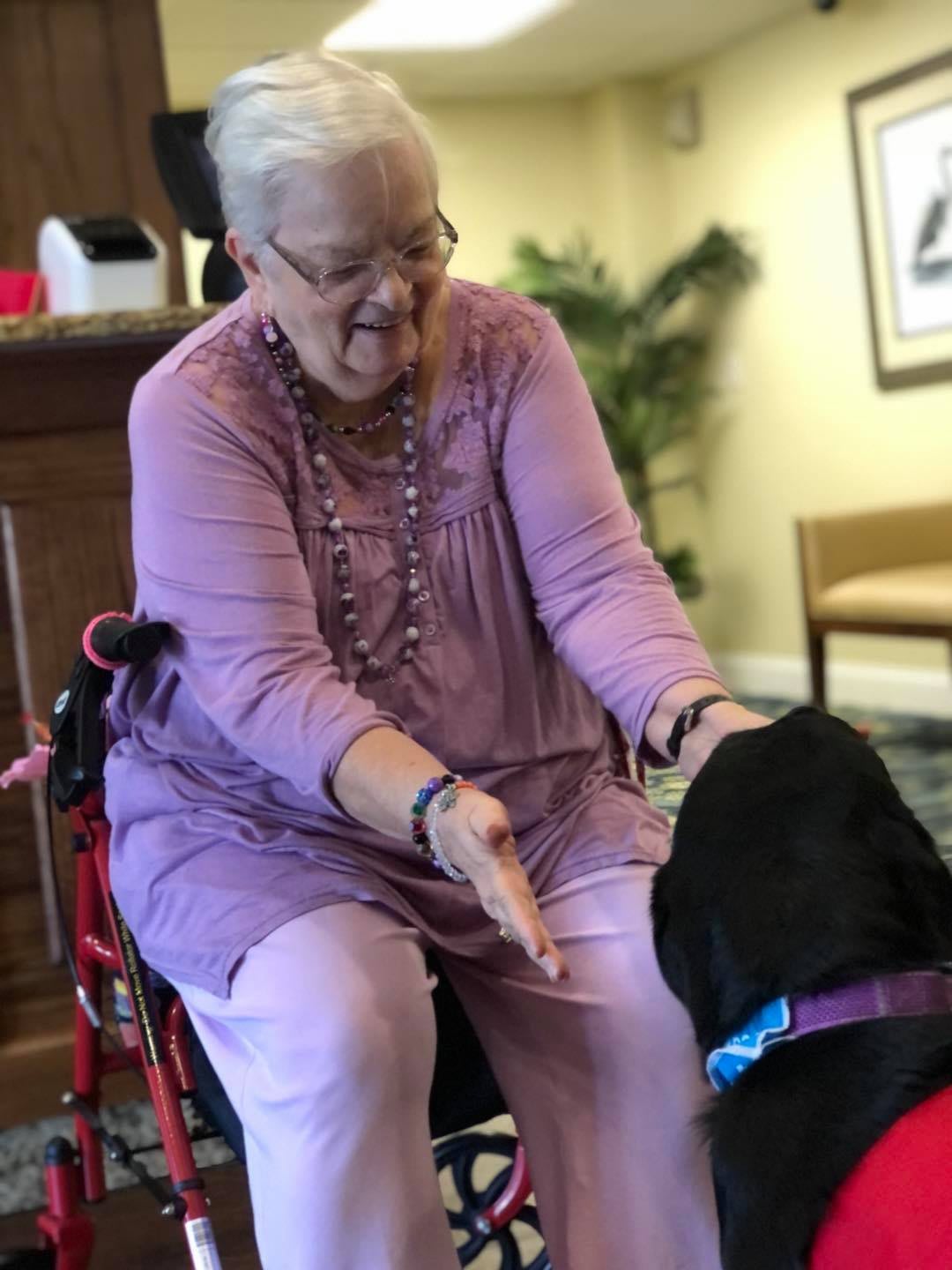 An elderly woman in a wheelchair happily interacts with a black dog indoors.