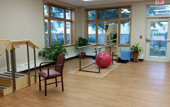 A rehabilitation room featuring parallel bars, an exercise ball, and indoor plants.