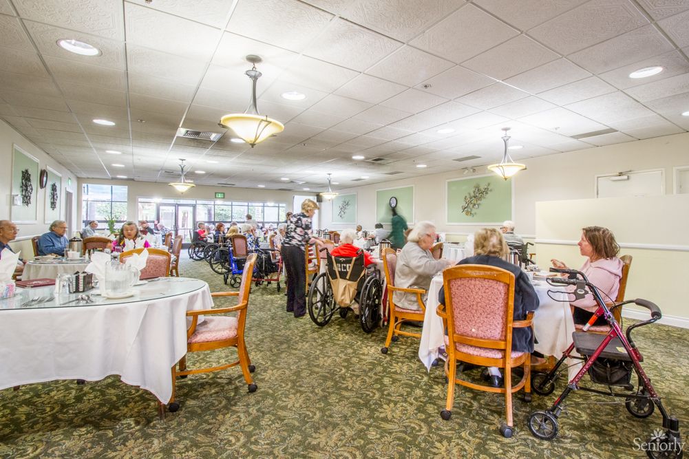 A spacious dining room filled with seniors enjoying a meal together, with some in wheelchairs.