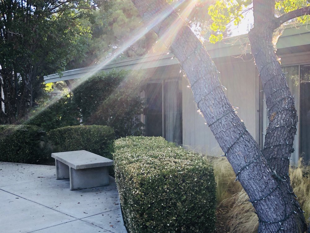 Sunlight streams over a garden pathway, highlighting a stone bench and neatly trimmed hedges.