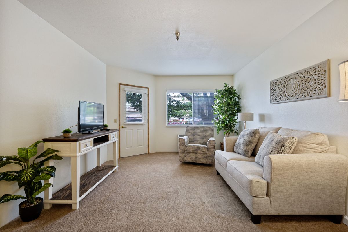 A cozy living room featuring a comfortable sofa, armchair, TV stand, and decorative elements such as an indoor plant.