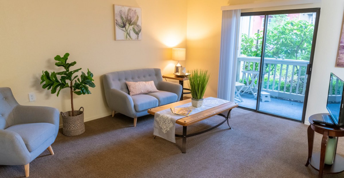 A cozy living room with a sofa, coffee table, indoor plant, and lamp near a large window.