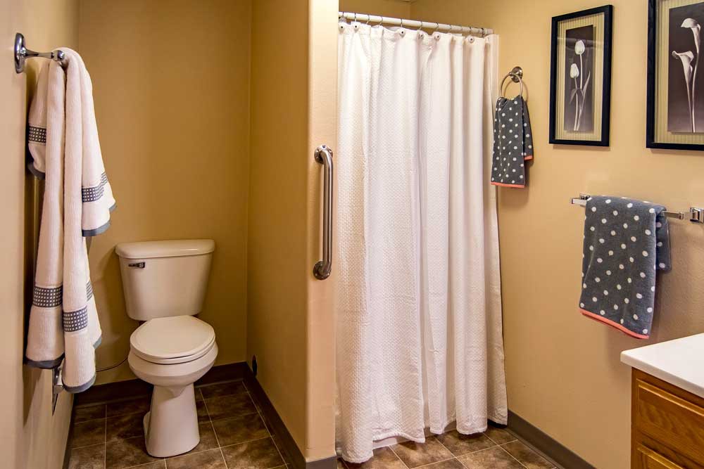 A bathroom with a shower, toilet, and essential accessories.